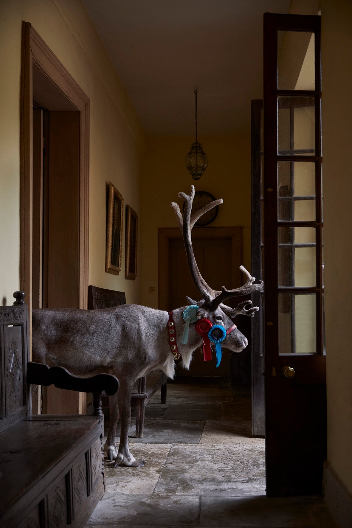 Welcome to the Nice Office