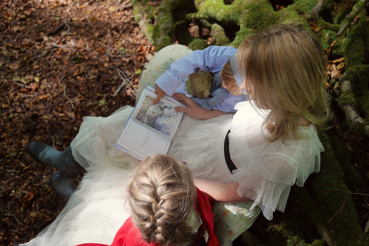 Our collection of books