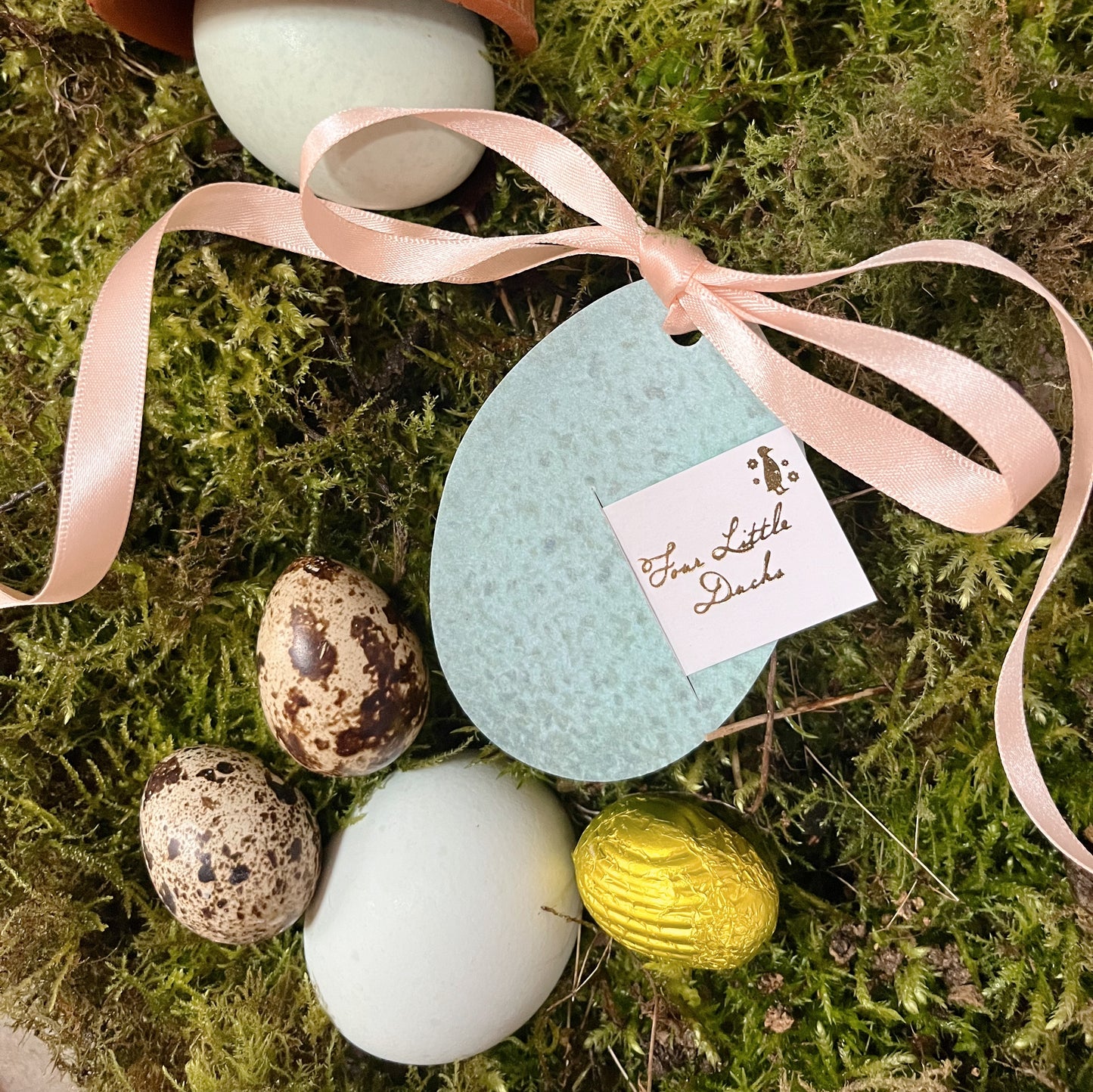 Egg-cellent Little Duck Letter